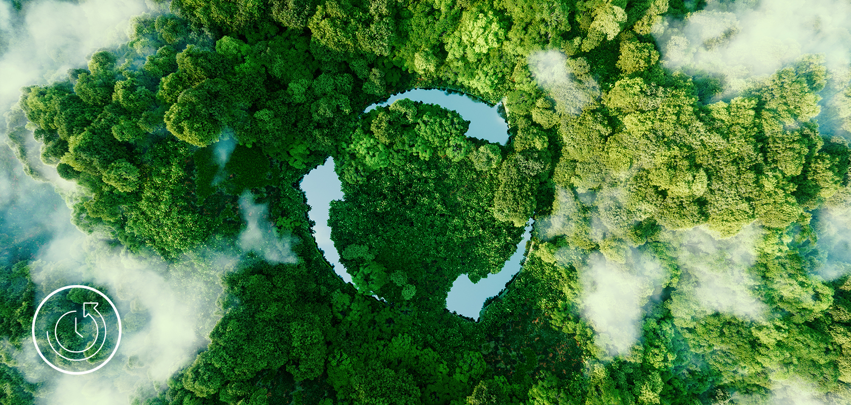 Een luchtfoto van een weelderig bos met een opvallende cirkelvormige open plek, die een milieuvriendelijk initiatief of de kracht van de natuur symboliseert.